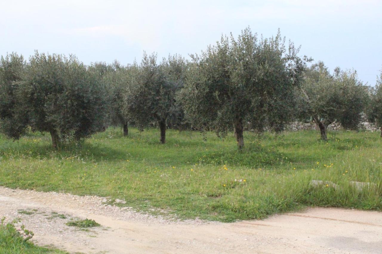 Piccolo Ulivo B&B Salento 베르놀레 외부 사진