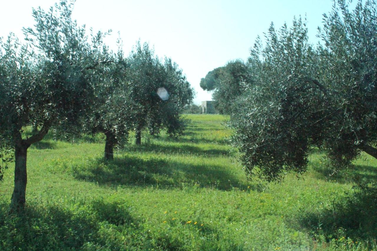 Piccolo Ulivo B&B Salento 베르놀레 외부 사진